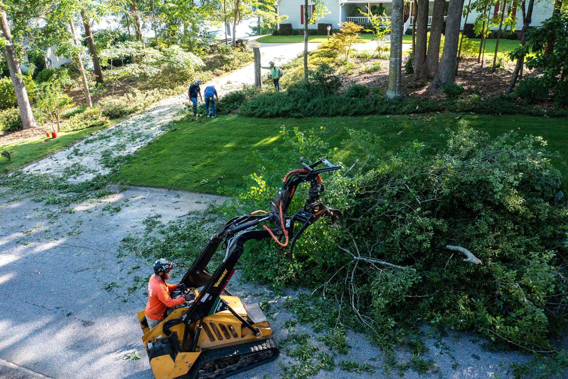 Tree Pruning Service: A Complete Guide to Caring for Your Trees