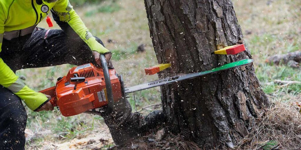 Tree Removal