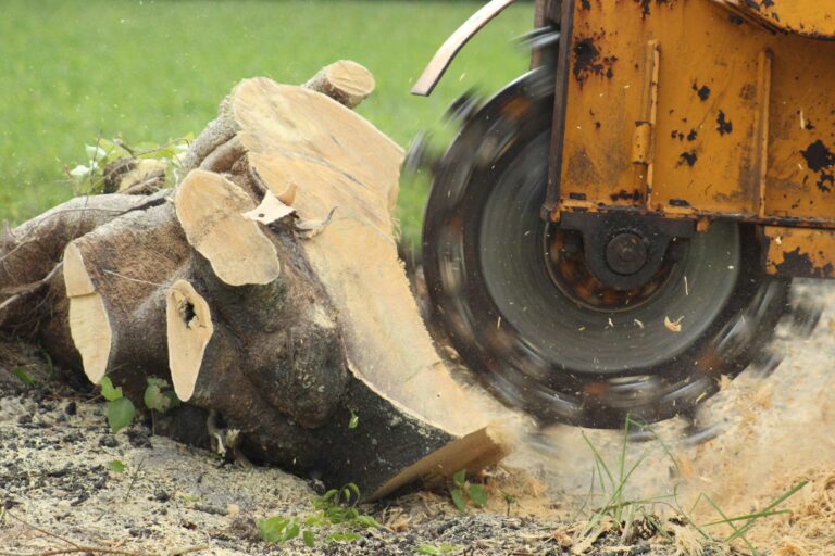 Backyard Stump Grinding