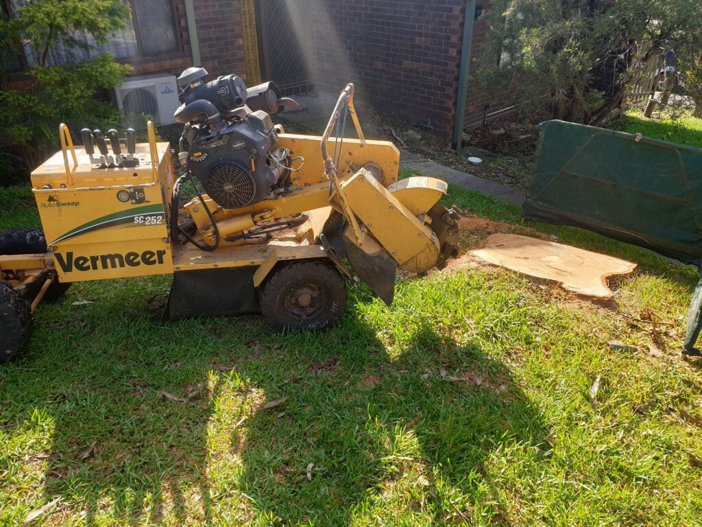 Backyard Stump Grinding