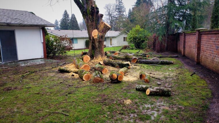 Emergency Stump Removal