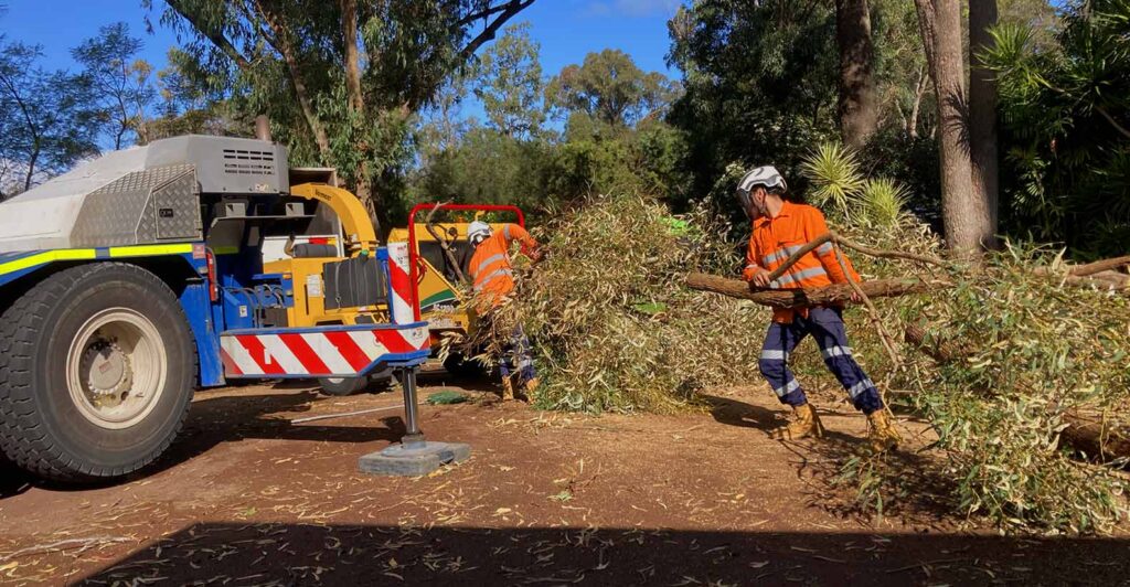 Emergency Stump Removal