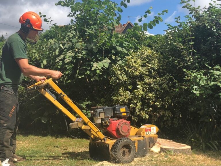 tree removel