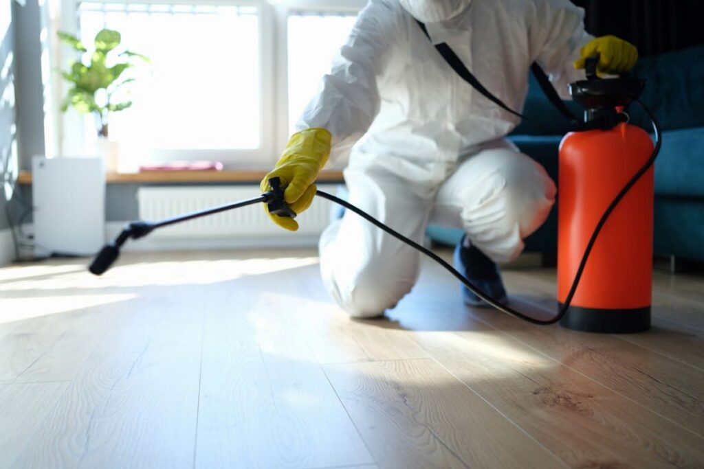 Same Day Pest Control