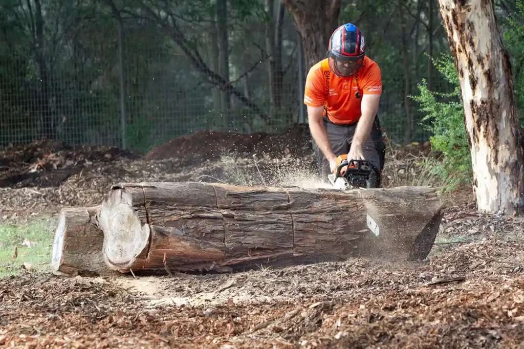 Tree Removal Sydney