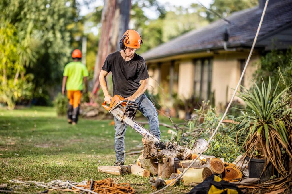 Tree Removal Sydney