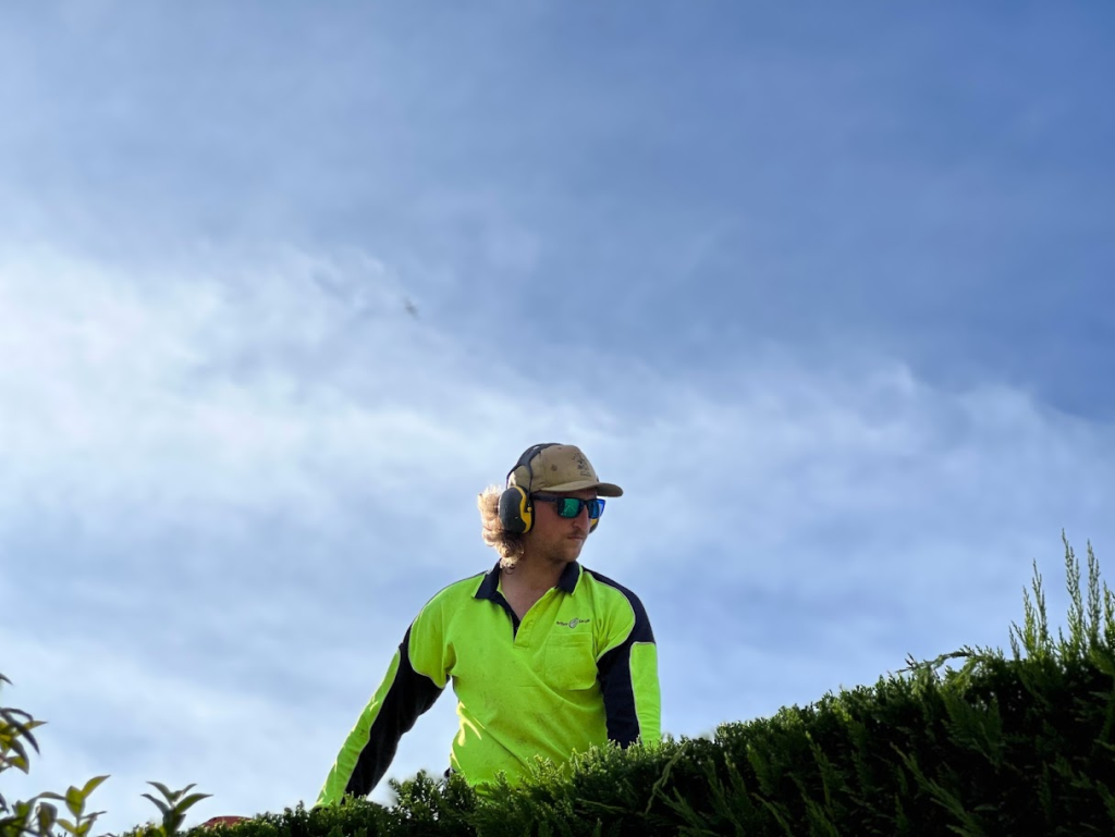 Professional Tree Trimming Sydney: Enhance Safety and Beauty